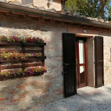 Antica Fattoria Del Colle *