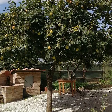 مزرعة للإقامة Antica Fattoria Del Colle *