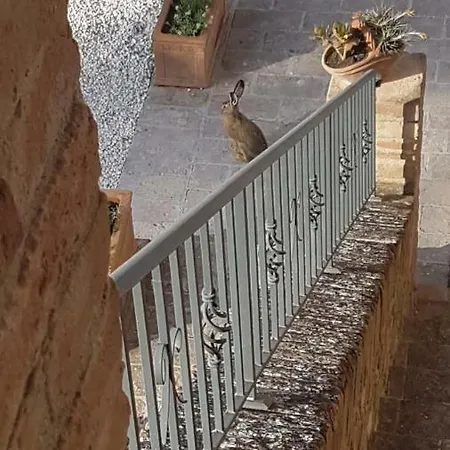 Antica Fattoria Del Colle *
