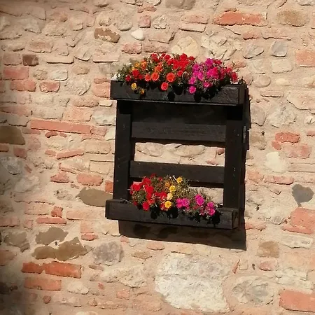 Antica Fattoria Del Colle ديروتا